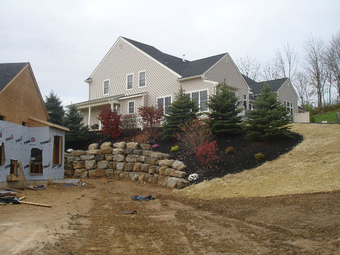 Richard Benckini Landscaping Tree Farm - Allentown Bethlehem Easton Pa